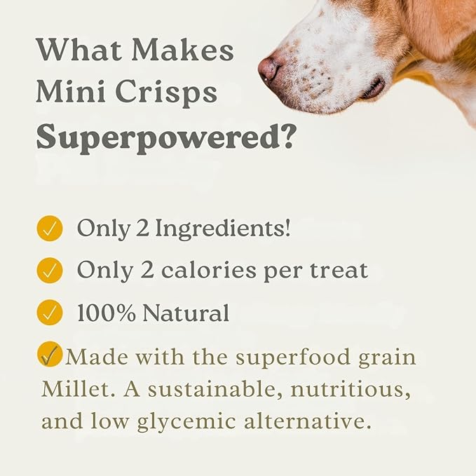 Earthly Low-Calorie Mini Crisps- Pork and Millet Crunchy Training Treats for Dogs 2.5oz