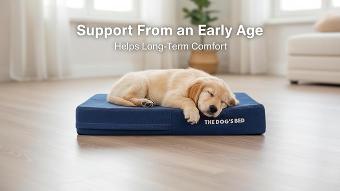 The Dog’s Bed Orthopedic Memory Foam Dog Bed for XXL Dogs, Waterproof Washable Cover, Anti-Slip Base, Calming Surface – CertiPUR-Certified Foam, Real Blue Denim, 6 Inch Thick