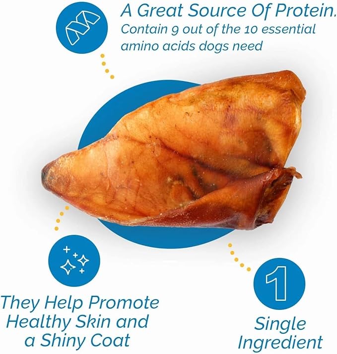 123 Treats Pig Ears for Dogs - (12 Count) 100% Natural, Long Lasting & Highly Digestible Chew Treats, Single Ingredient, Slow Baked, Great for Puppy, Large & Medium Dogs