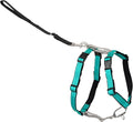 PetSafe 3 in 1 No-Pull Dog Harness for Large Dogs - Walk, Train or Travel - Helps Pets from Pulling on Walks - Seatbelt Loop Doubles as Quick Access Handle - Reflective- Large, Teal