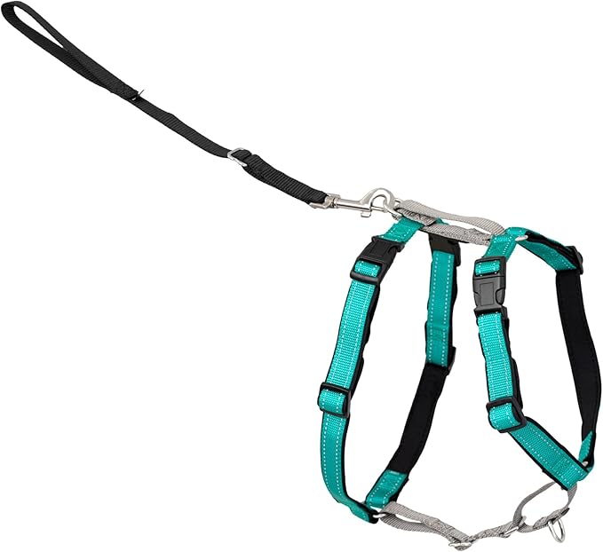 PetSafe 3 in 1 No-Pull Dog Harness for Small Dogs - Walk, Train or Travel - Helps Pets from Pulling on Walks - Seatbelt Loop Doubles as Quick Access Handle - Reflective- Small, Teal