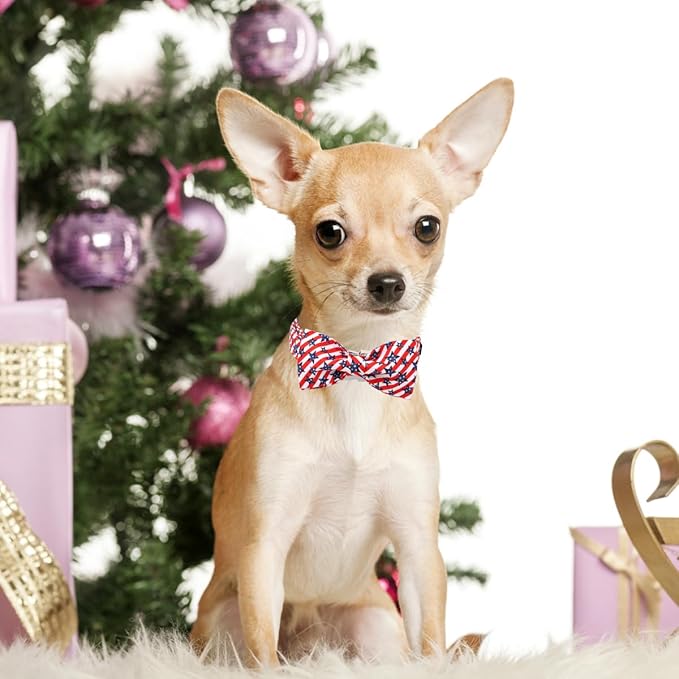 Unique style paws Independence Day Dog Collar with Bow Striped Star Puppy Collar for Small Medium Large Boys Girls Dogs