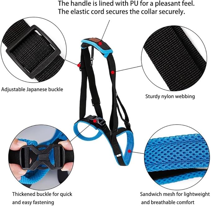 Rear Leg Lift Harness for Dogs—Hip Support Sling with Adjustable Straps, Quick-Release Buckle & Anti-Slip Hook (L/XL), Helps Senior Dogs Climb Stairs, Walk & Get in Cars(S)