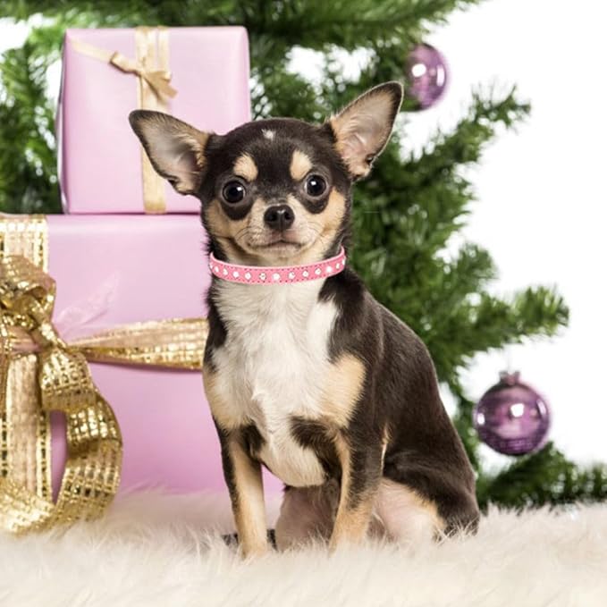 Puppy Collar and Leash with Bling Diamond, Pretty Crystal Sparkly Rhinestone Glitter Jewel Girls Cat Collars for XXS Xs Small Medium Pet Female Dogs Boys Kitten, Hot Pink XSmall