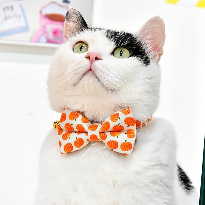 Cat Collar Bow Set, Halloween Orange Pumpkin, Wedding/Birthday Breakaway Collar Bowtie for Kitten/Cat