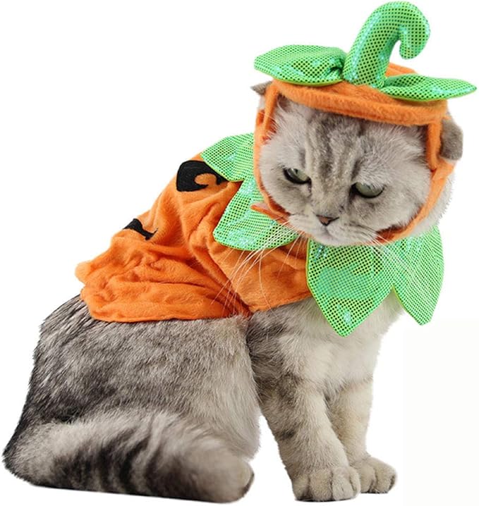 Bolbove Pet Pumpkin Costume for Cats & Small Dogs Party Halloween Cosplay Free Size Orange