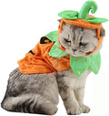 Bolbove Pet Pumpkin Costume for Cats & Small Dogs Party Halloween Cosplay Free Size Orange