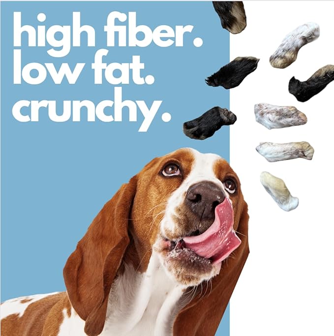 Dehydrated Rabbit Feet for Dogs & Cats - Furry Rabbit Feet Dog Treats - Whole Rabbit Front Paws for Cats & Dogs - Pack of 12