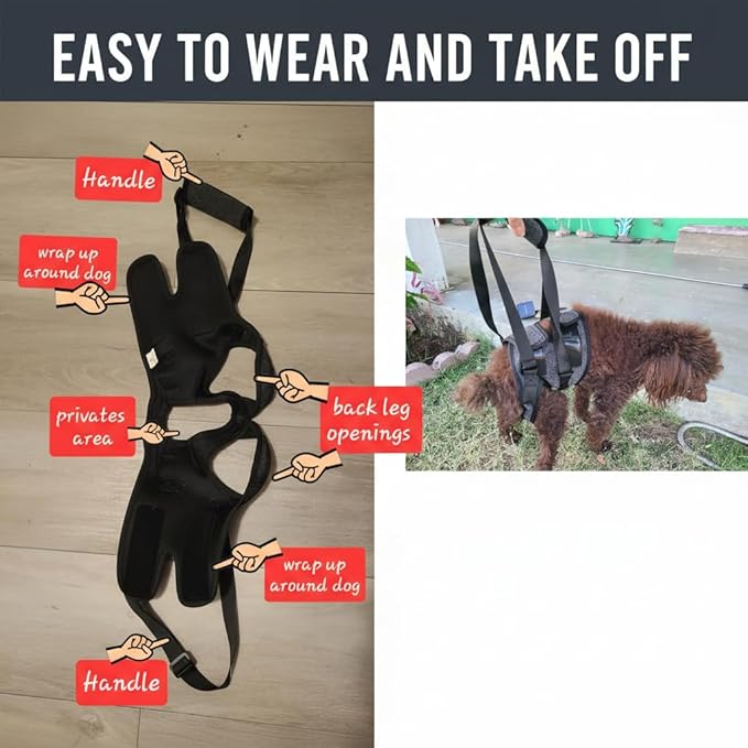 Dog Lift Harness for Back Legs–Sturdy Dog Support Sling–Hip Sling Carrier for Large Medium Canine, Stair Helper for Aid Old Ligament Rehabilitation Pet, Grey,L