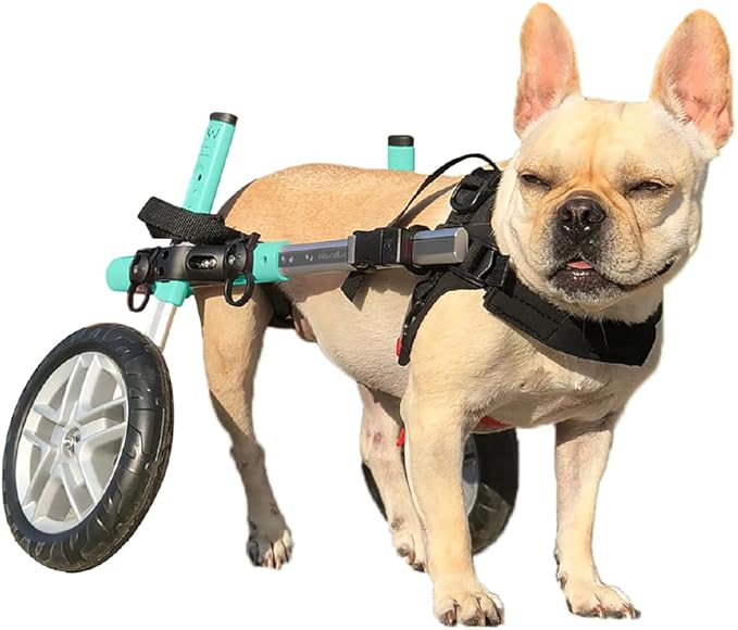 Walkin' Wheels Small Dog Wheelchair, Lightweight Dog Wheelchair for Back Legs, 15-25 lbs, for 6-8 inches Leg Height - Seafoam