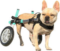 Walkin' Wheels Small Dog Wheelchair, Lightweight Dog Wheelchair for Back Legs, 15-25 lbs, for 9-11 inches Leg Height - Seafoam