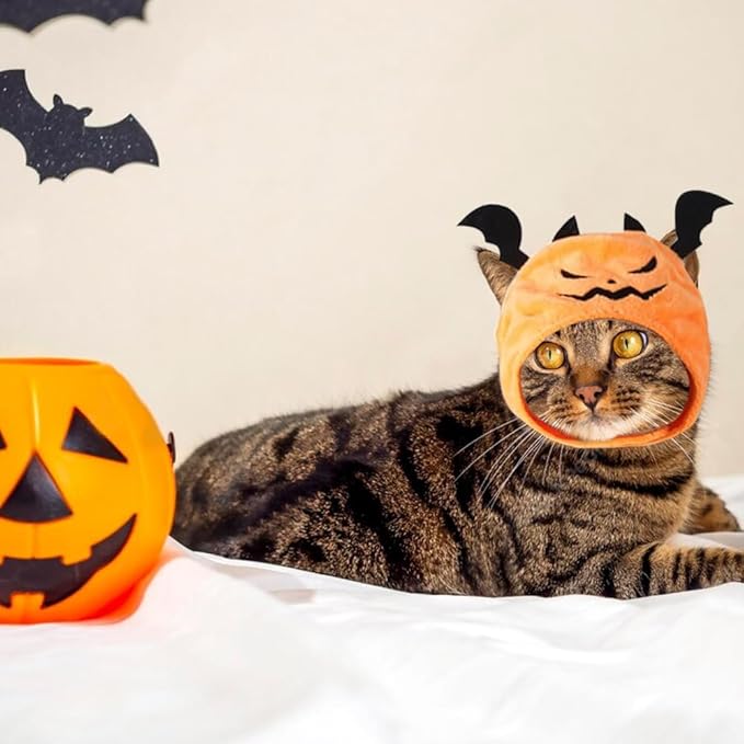 ALIBBON Cat Halloween Devil Costume Dog Halloween Devil Hat Pet Headdress for Halloween Party Adjustable Devil Cap Orange Devil Hat Dress Up for Puppy Kitty Halloween Cosplay Costume