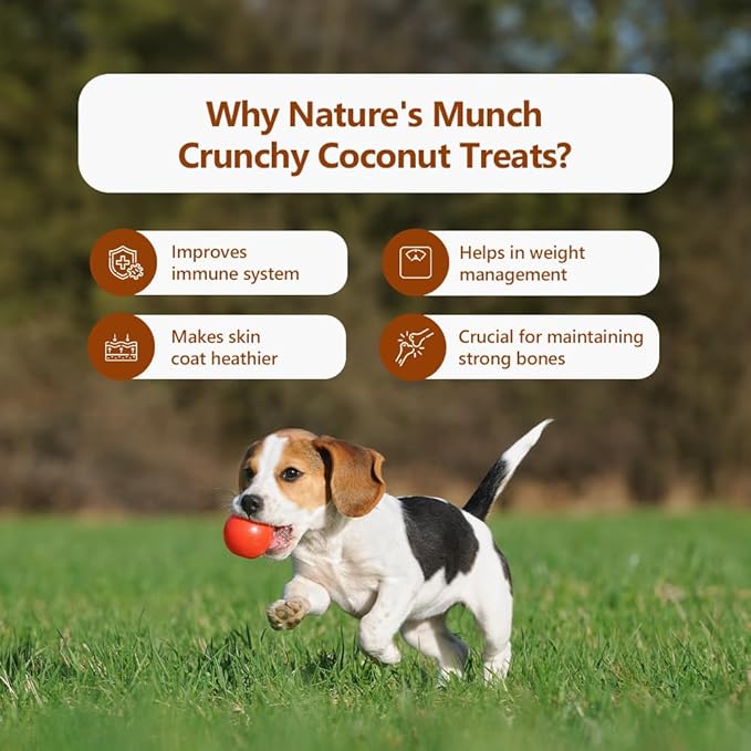 Pawfect Foods Nature's Munch Freeze Dried Dog Treats - Coconut Healthy Dog Treats | Grain-Free | Promotes Shiny Coat | Supports Healthy Metabolism | Vegan (1.7oz)