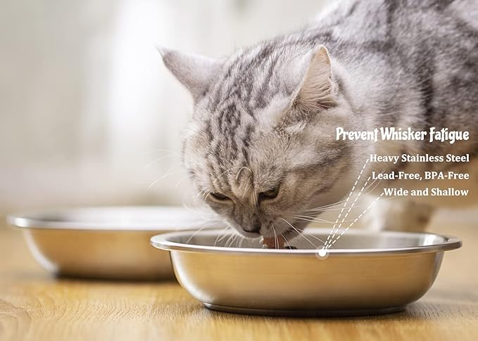 Stainless Steel Cat Bowls 4 Pack, Whisker Fatigue Relief Cat Food Dish, Metal Shallow Wide Large Replacement Plate for Dog and Pet, Ideal for Raised Elevated Pet Feeding Station Stand, 5.5"