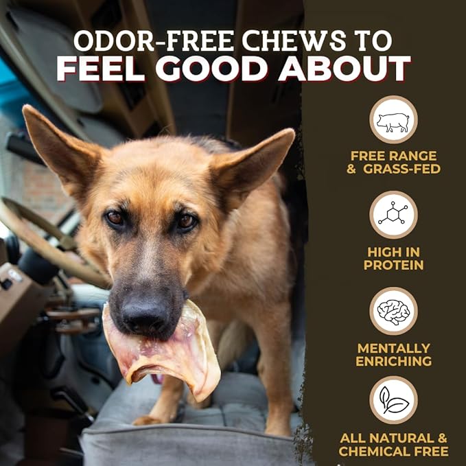 Bully Bunches Large Whole Pig Ears for Dogs | Free Range Oven Baked Pork for All Breeds | All-Natural, Single Ingredient & 100% Digestible Safe Dog Chew (80 Pack)