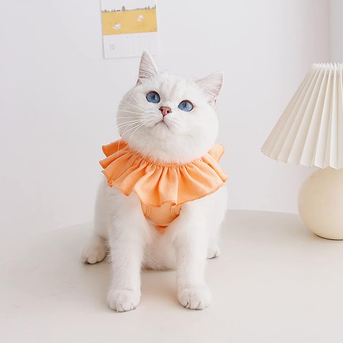Cat Recovery Suit for Abdominal Wounds and Skin Diseases,Breathable Surgical Recovery Shirt After Surgery Wear Anti Licking Wounds,E-Collar Alternative for Female Cats Kitten(RSC01-orange-m)