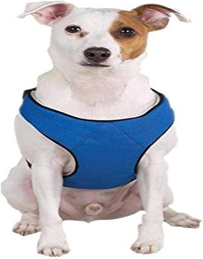 Guardian Gear Nylon Lift and Lead 4-in-1 Dog Harness, Small, Blue