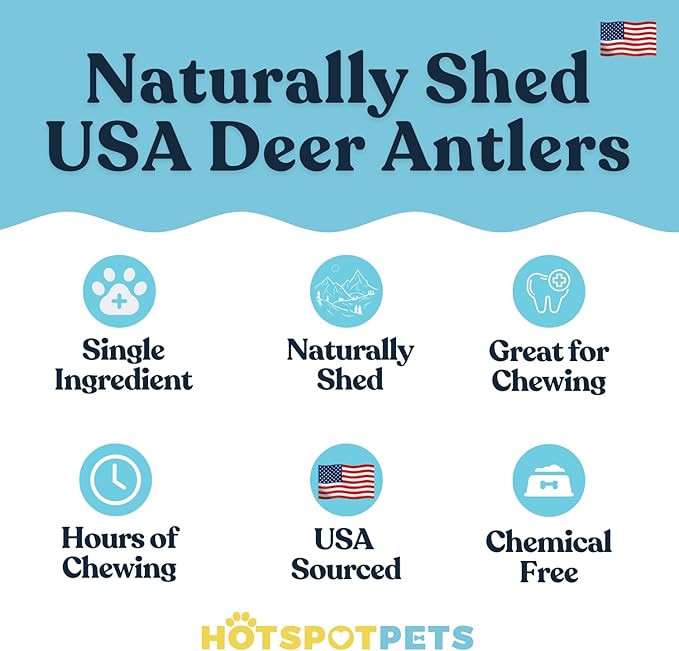 hotspot pets Premium Deer Antlers for Dogs - 7+ Inch Large Antler Dog Chews (2 Pack) Made in USA - Naturally Shed Antler Bone for Large Breed Aggressive Chewers - Promotes Dental Hygiene