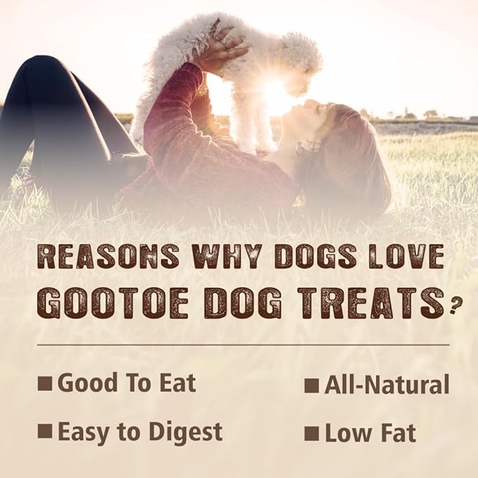 Gootoe Buffalo Dog Treats, Natural Low-Fat Chews for Training & Rewards, Limited Ingredient, Puppy Treats for Small Dogs & Puppies, Resealable Bag, Buffalo Bites Bone Shaped, 8 oz