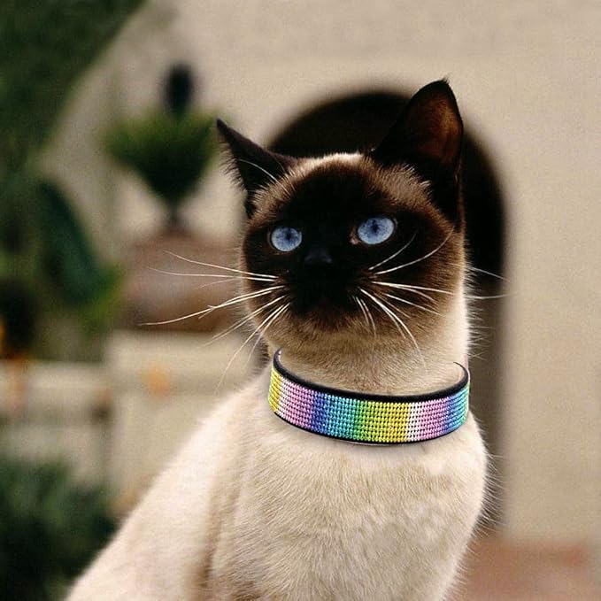 Cute Dazzling Sparkling Elegant Fancy Soft Suede Leather Bling Rhinestone Crystal Jeweled Pet Cat Dog Puppy Collar Dog Leash Combo Set (XXS, Black-3)