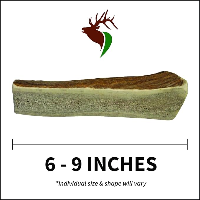 Large Split Single Pack (for 30-50 lb Dogs) Premium Grade Elk Antler for Dogs (1 Piece) Sourced in The USA