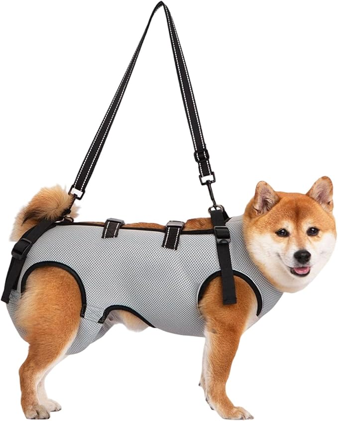 Adjustable Dog Harness for Elderly Pet with Padded Belt and Breathable Design Disabled Lift Slings Rehabilitation Harness