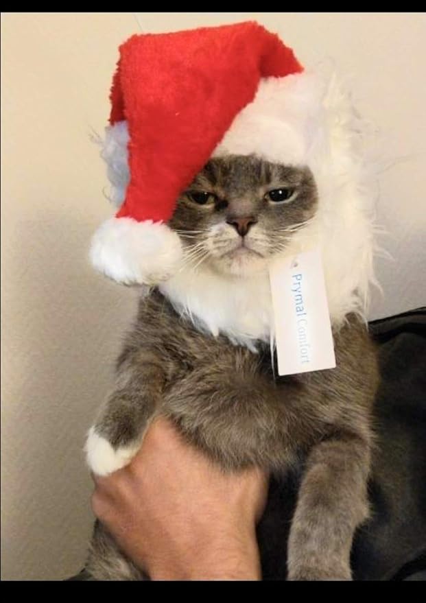 Santa Dog Cat Costume