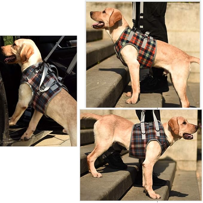 HongGun Pet Lift Support Harness, Dog Auxiliary Belt Front Disability Injury Old Dog Support Harness Injured Dogs Walking for Medium Dogs Large Dogs (M:Orange)