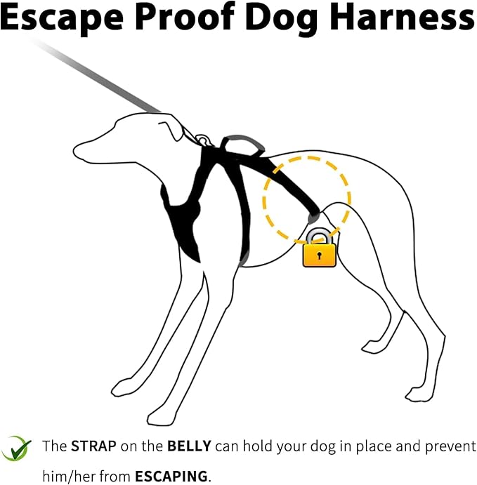 Huntboo Escape Proof Dog Harness, Escape Artist Harness, Reflective Harness with Padded Handle, Breathable, Durable, Adjustable Vest for Medium Dogs Walking, Training, and Running Gear (Black, S)