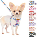 SlowTon No Pull Dog Harness with Leash - Soft Lightweight Floral Pattern Puppy Harness, Adjustable Pet Harness for Small Medium Dogs (Blue Flower S)