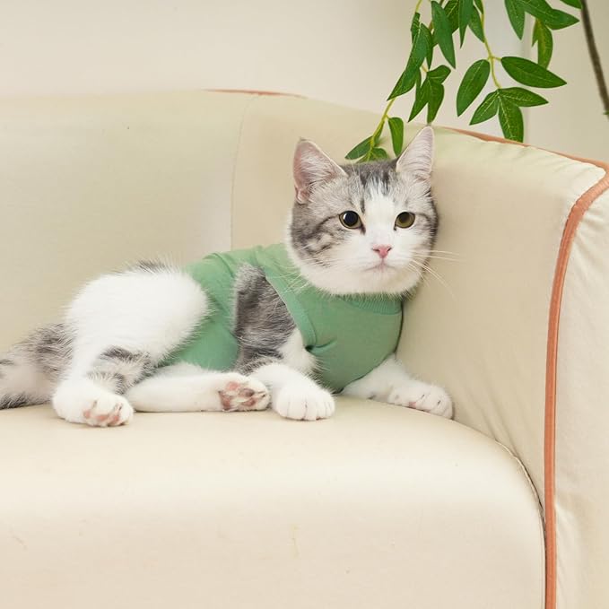 kzrfojy Cat Recovery Suit Cat Onesie for Cats After Surgery Female Male Spay Kitten Neuter Surgical Bodysuit Post Surgery Cone of Shame Alternative Anti Licking(Green, Medium)