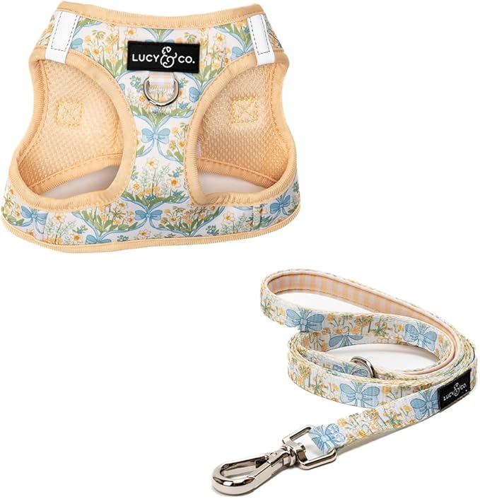 Lucy & Co. Sunshine and Daffodils Step-in Cat Harness and Leash Set Bundle, Reflective, Breathable & Adjustable Harness for Cats, Kittens & Small Dogs, Lightweight & Secure, Small