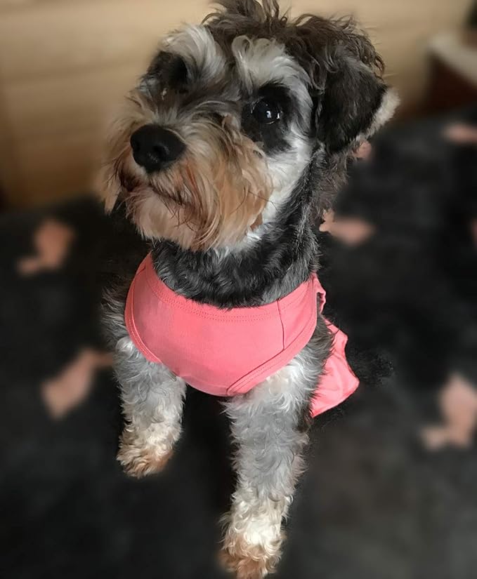 Pet Clothes Small Dog Clothing Blank Color Sport Dress T-Shirts Tee Dresses Tanks Top for Small Size Female Dogs Summer Spring Pet Costumes 100% Cotton (L, Lotus Pink)