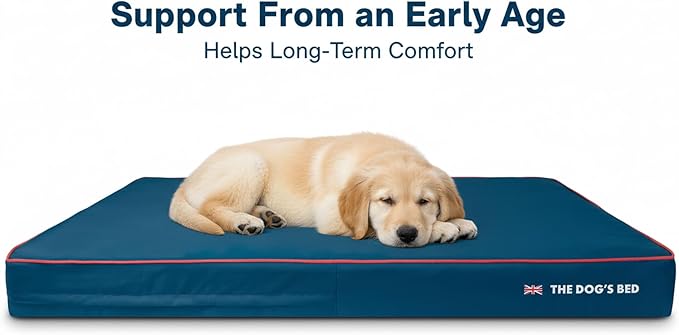 The Dog’s Bed Orthopedic Memory Foam Dog Bed for XXXL Dogs, Waterproof Washable Cover, Anti-Slip Base, Calming Surface – CertiPUR-Certified Foam, Blue with Red Trim, 6 Inch Thick