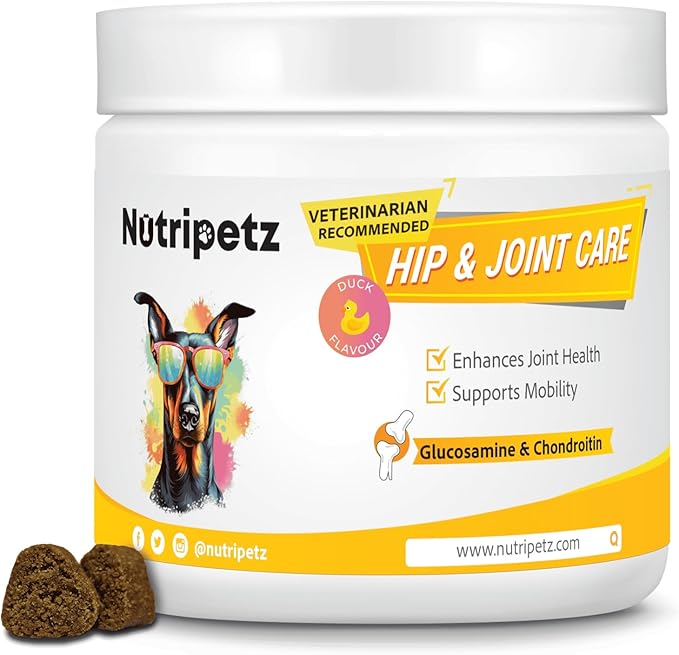 120 Soft Chews - Hip and Joint Supplement for Dogs with Glucosamine, Turmeric & Hemp Chews – Joint Pain Relief & Mobility Support – Dog Treats for All Breeds & Ages