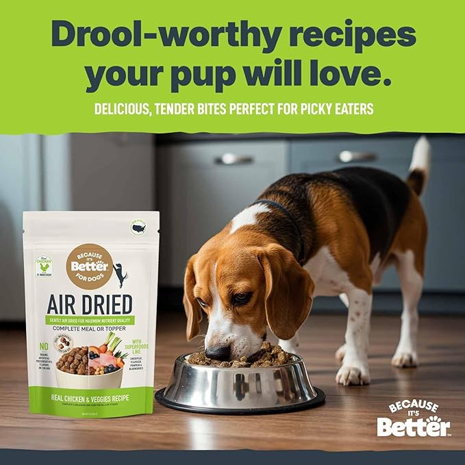 Because It’s Better Slow Baked & Air Dried Dog Food - Real Chicken & Veggies - Complete & Balanced Dry Dog Food - Grain Free, High Protein, Natural Nutrition for All Life Stages, 1 lb Bag