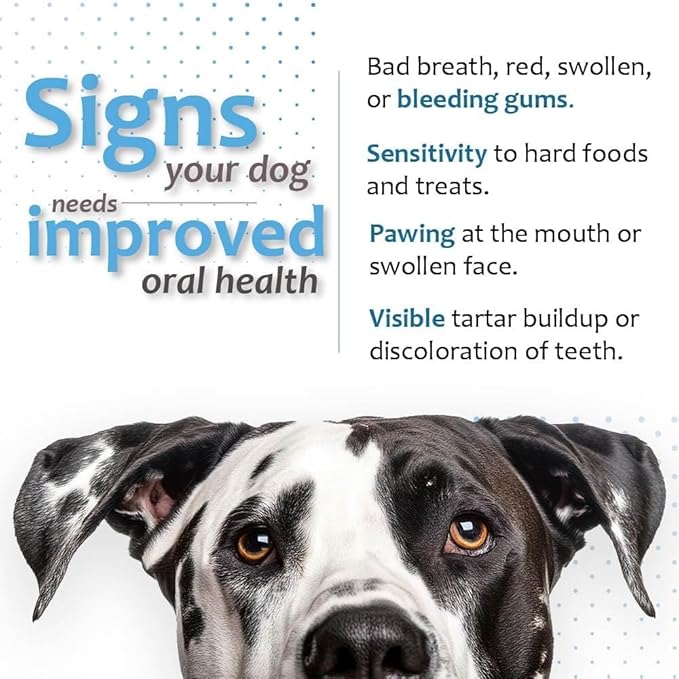 Oral Hygiene Chews for X-Large Dogs – Enzymatic Dental Treats for Daily Oral Care, Helps Clean Teeth & Freshen Breath, Supports Plaque & Tartar Control – 15 Chews (3 Pack)