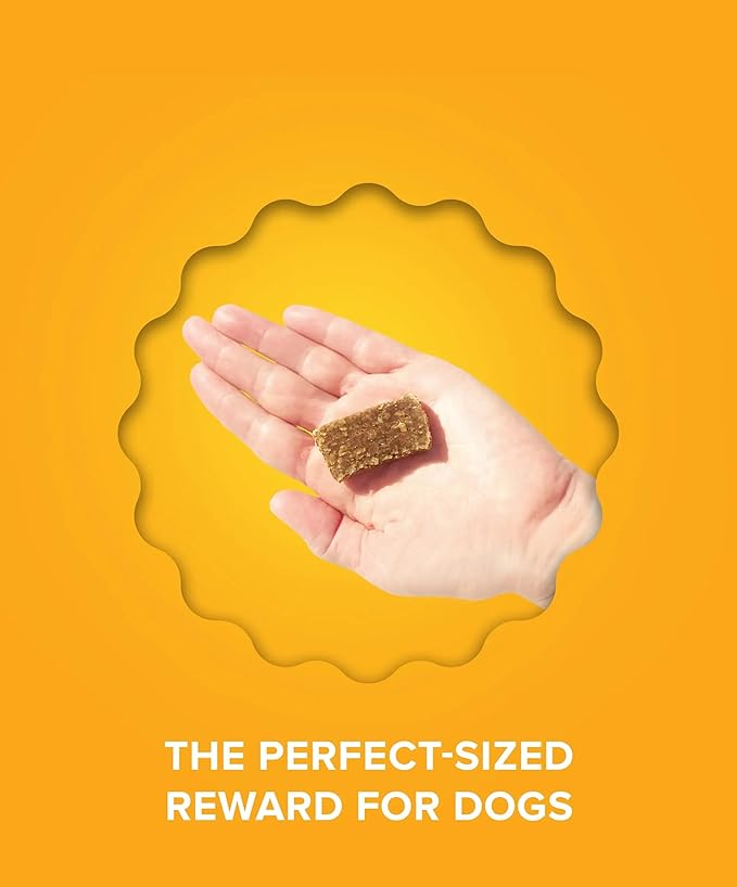 PLATO Pet Treats Real Strips Dog Treats – Turkey & Pumpkin – Air-Dried High Protein Dog Treats – Supports Immunity & Gut Health – Limited Ingredient, No Fillers – Made in USA – 6 oz