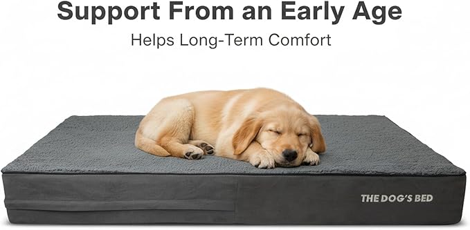 The Dog’s Bed Orthopedic Memory Foam Dog Bed for XL Dogs, Waterproof Washable Cover, Anti-Slip Base, Calming Surface – CertiPUR-Certified Foam, Grey Plush, 6 Inch Thick