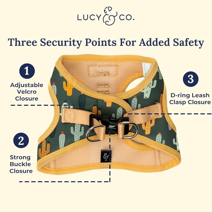 Lucy & Co. Looking Sharp Step-in Cat Harness & Leash Bundle – Reflective, Breathable & Adjustable Harness for Cats, Kittens & Small Dogs, Lightweight & Secure and Dual Leash Clips – X-Small