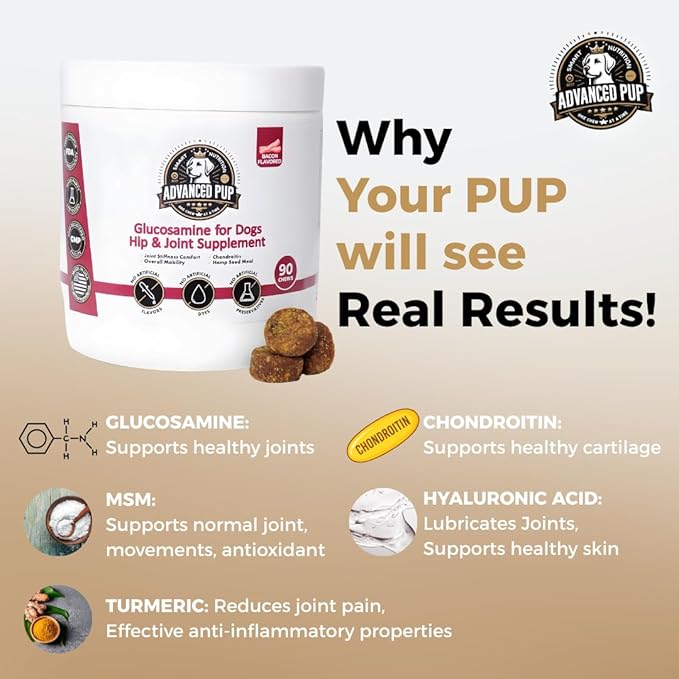 AdvancedPUP Dog Hip and Joint Supplement Chews – Glucosamine, Chondroitin, MSM & Turmeric – Mobility & Joint Support for Dogs – Bacon Flavor Soft Chews – 90 Count – Made in USA