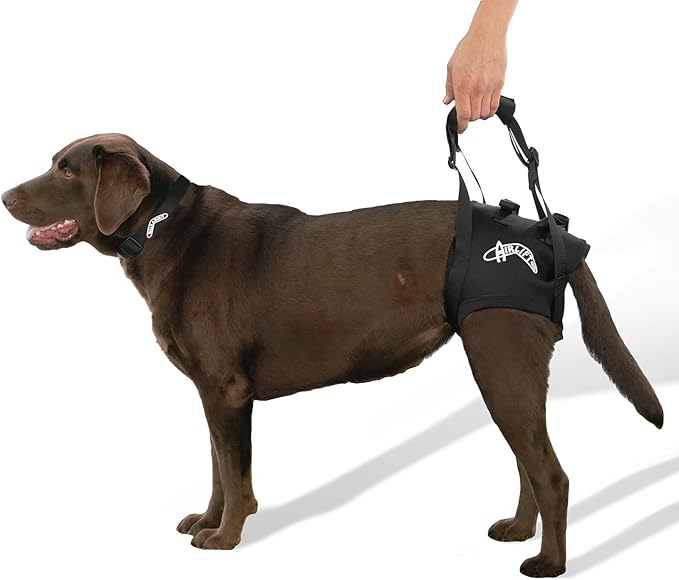 Airlift One Back end Support Lift Harness, Soft Padded Leg Holes with Adjustable Handles to Lift into The car, up Stairs, Out to Bathroom by Walkabout Harnesses (Medium 18"-24", Black)