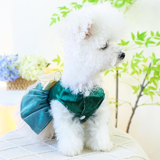 ANIAC Retro Dog Tulle Dress with Leash Ring Spring Summer Girl Puppy Clothes for Small Dog Cat Apparel Formal Pet Prom Dress for Christmas Wedding Birthday Valentines (Green,Medium)