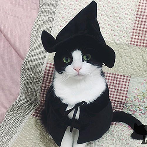 Cute Hooded Cloak Witch/Wizard Halloween Holiday Costume for Small Dogs & Cat Kitten, Cat Halloween Costumes