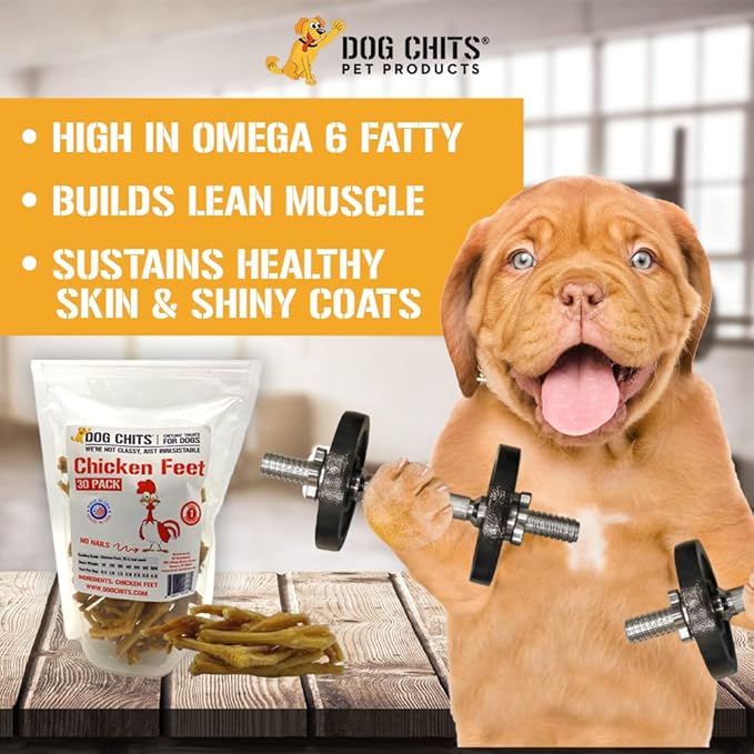 Dog Chits Chicken Feet for Dogs - Dog and Puppy Chews | All-Natural Treats | Large and Small Breeds | Nothing Added | Dehydrated | 30 Pack