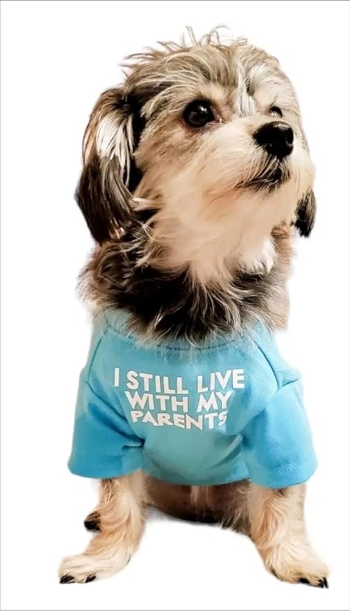 Cute Dog Clothes, T Shirt for Medium and Small Dogs Girl Boy,Puppy.Breathable Soft Dog Costume for Pet Dogs Cats, Pet Pullover Jumper, Cat Clothes (S-(4~8lb), Chest~14",Aqua)
