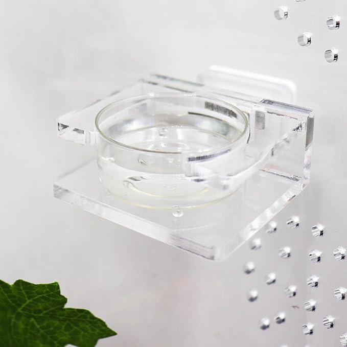 Jumping Spider Feeding Dish, Transparent Acrylic Magnetic Tiny Tarantula Food Bowl Water Dish, Enclosure Feeder Accessories for Jumping Spider Tarantula Small Spider - 2 × 1.8 Inch