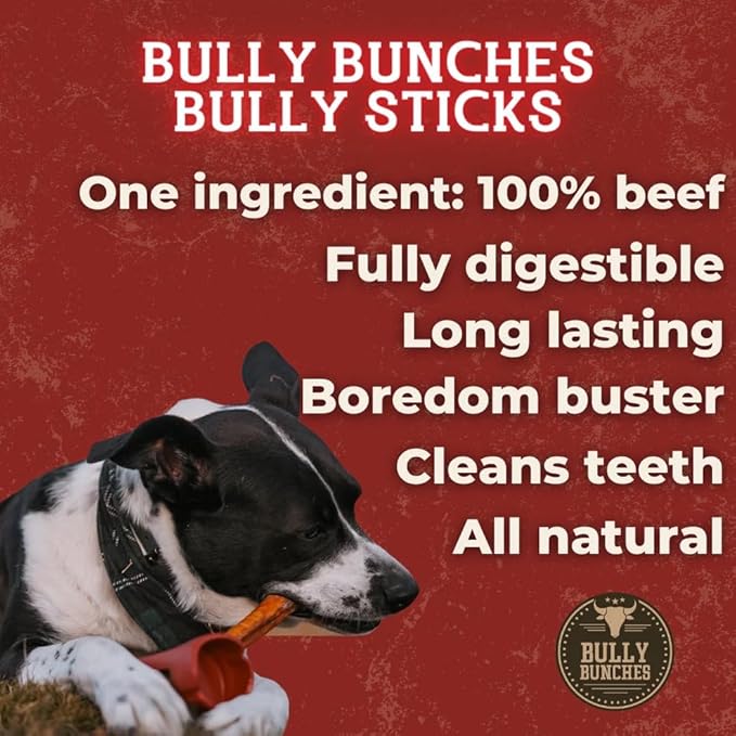 Bully Bunches Premium 6 Inch Standard Odor-Free Bully Sticks for Small to Medium Dogs & Puppies - Consistently Sized, Long Lasting Chews for Oral Care - All Natural, 100% Beef Dog Treats (10 Pk)