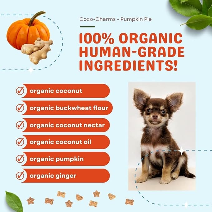 CocoTherapy Pumpkin Pie Coco-Charms Dog Training Treats, 5 Ounces Each, Supports Digestive Health, Made in The USA