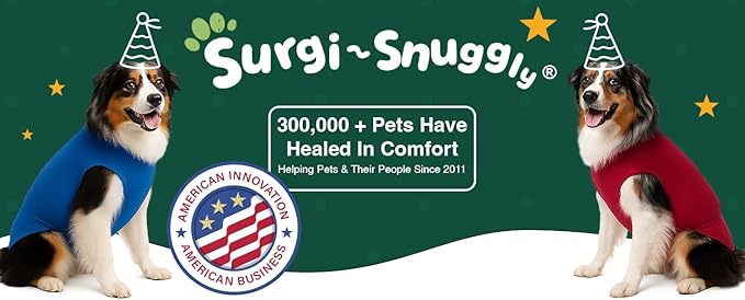 SurgiSnuggly Veterinary Invented Dog Surgical Recovery Suit for Female or Male Dogs,Spay, Neuter Onesie,The Original Surgical Recovery Bodysuit for After Surgery Small, Medium, Large Dogs MS BR